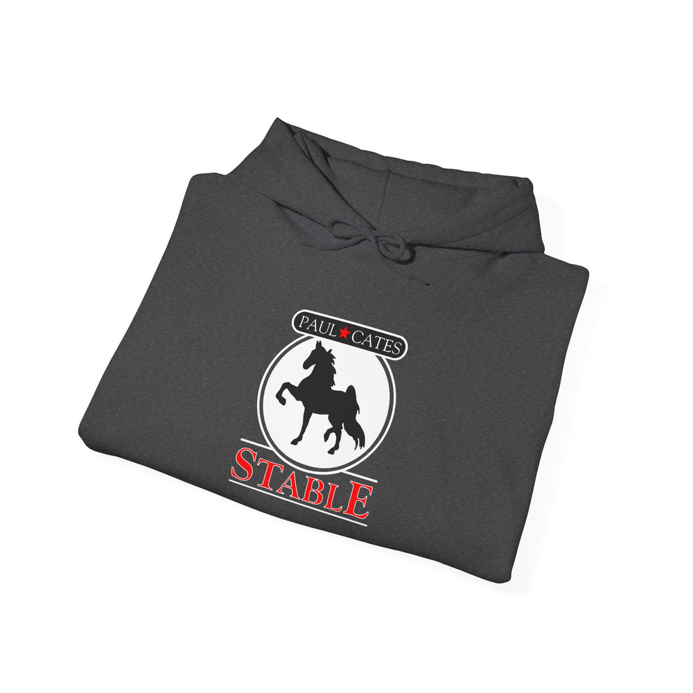 
                  
                    Unisex Heavy Blend™ Hoodie
                  
                