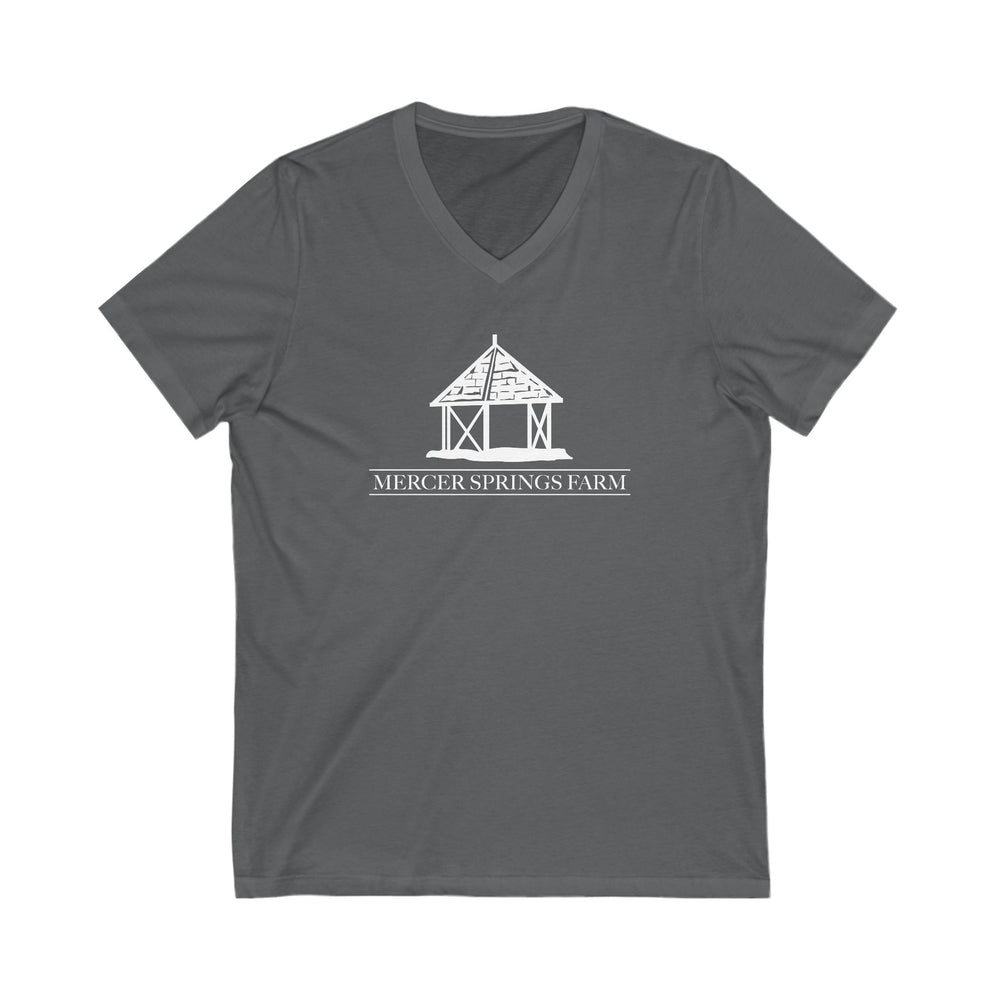 
                  
                    Premium Ladies V-Neck Tee
                  
                