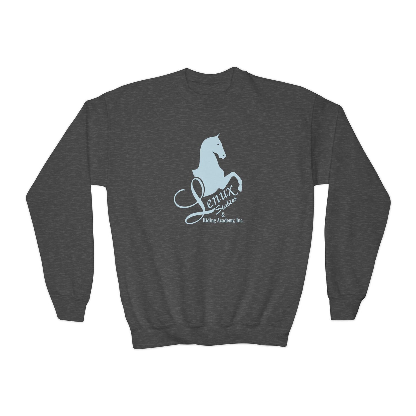 Classic Youth Crewneck Sweatshirt