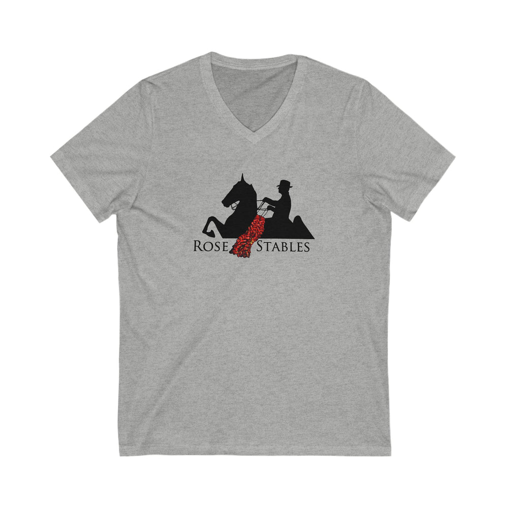 
                  
                    Premium Ladies V-Neck Tee
                  
                