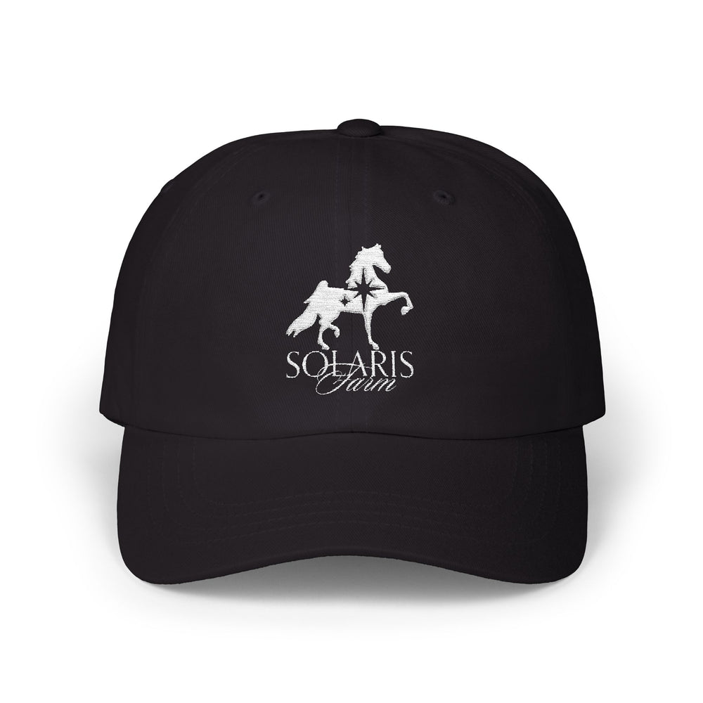 
                  
                    Embroidered Premium Hat
                  
                