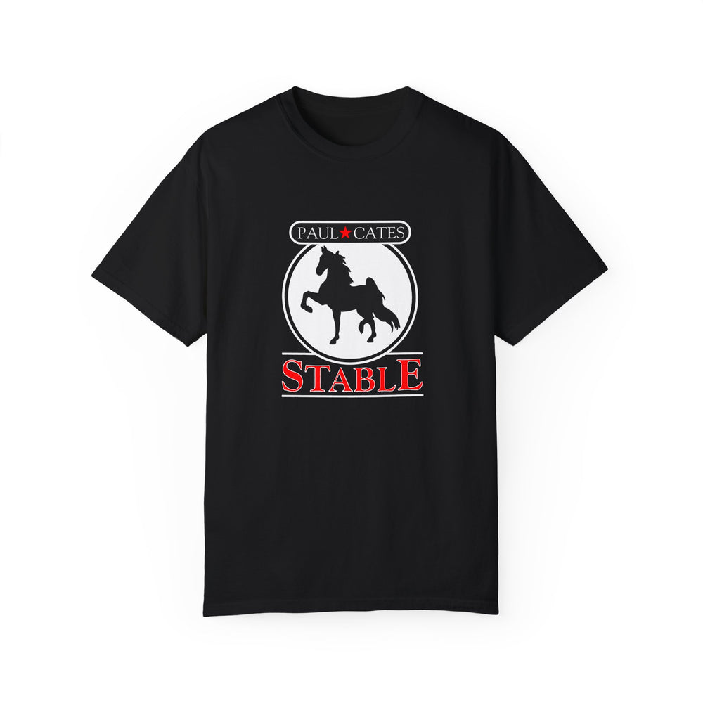 Comfort Colors Tee