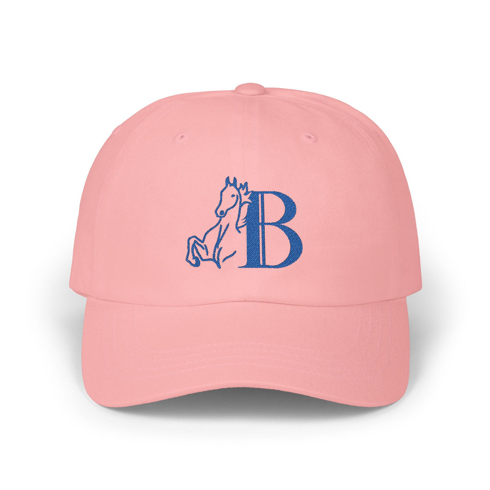 
                  
                    Embroidered Premium Hat
                  
                