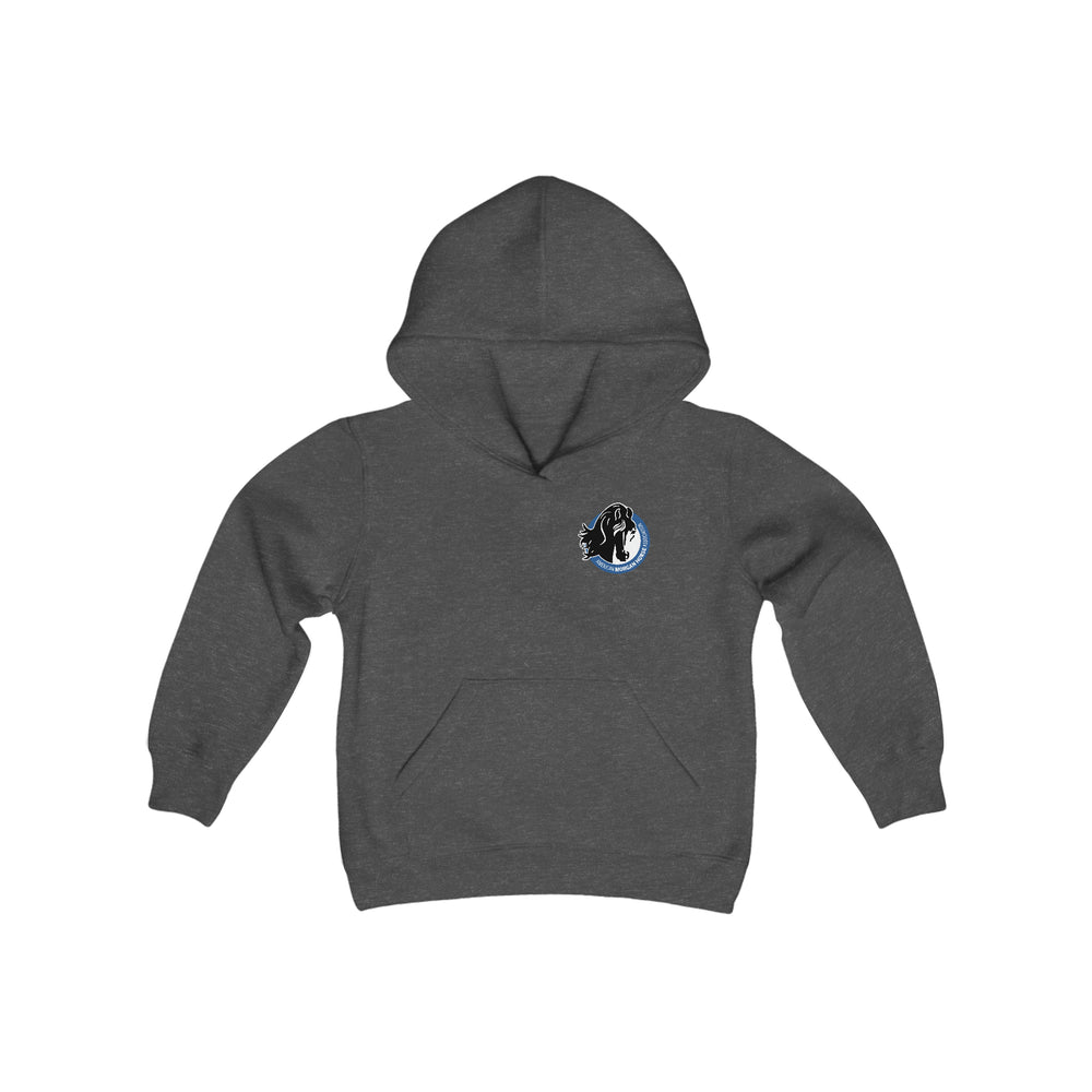 
                  
                    AMHA Youth Hoodie
                  
                