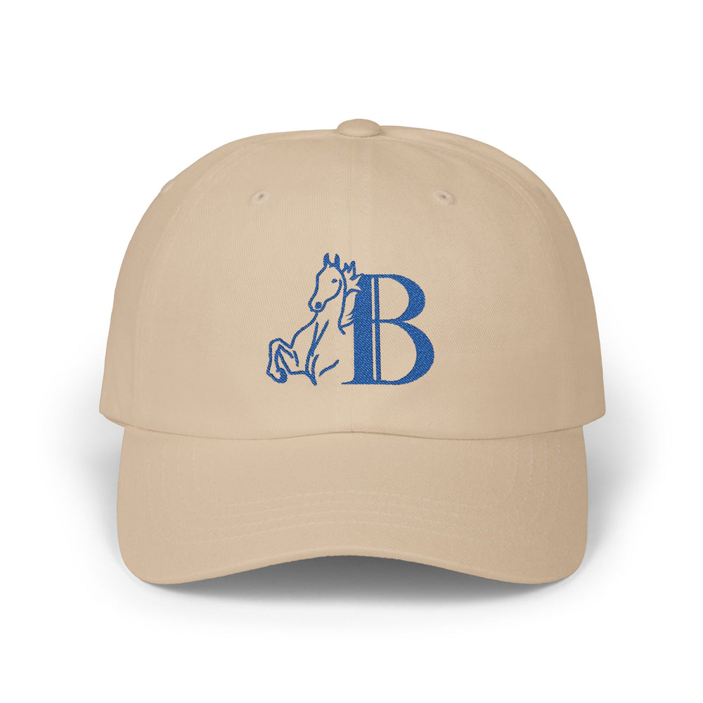 
                  
                    Embroidered Premium Hat
                  
                