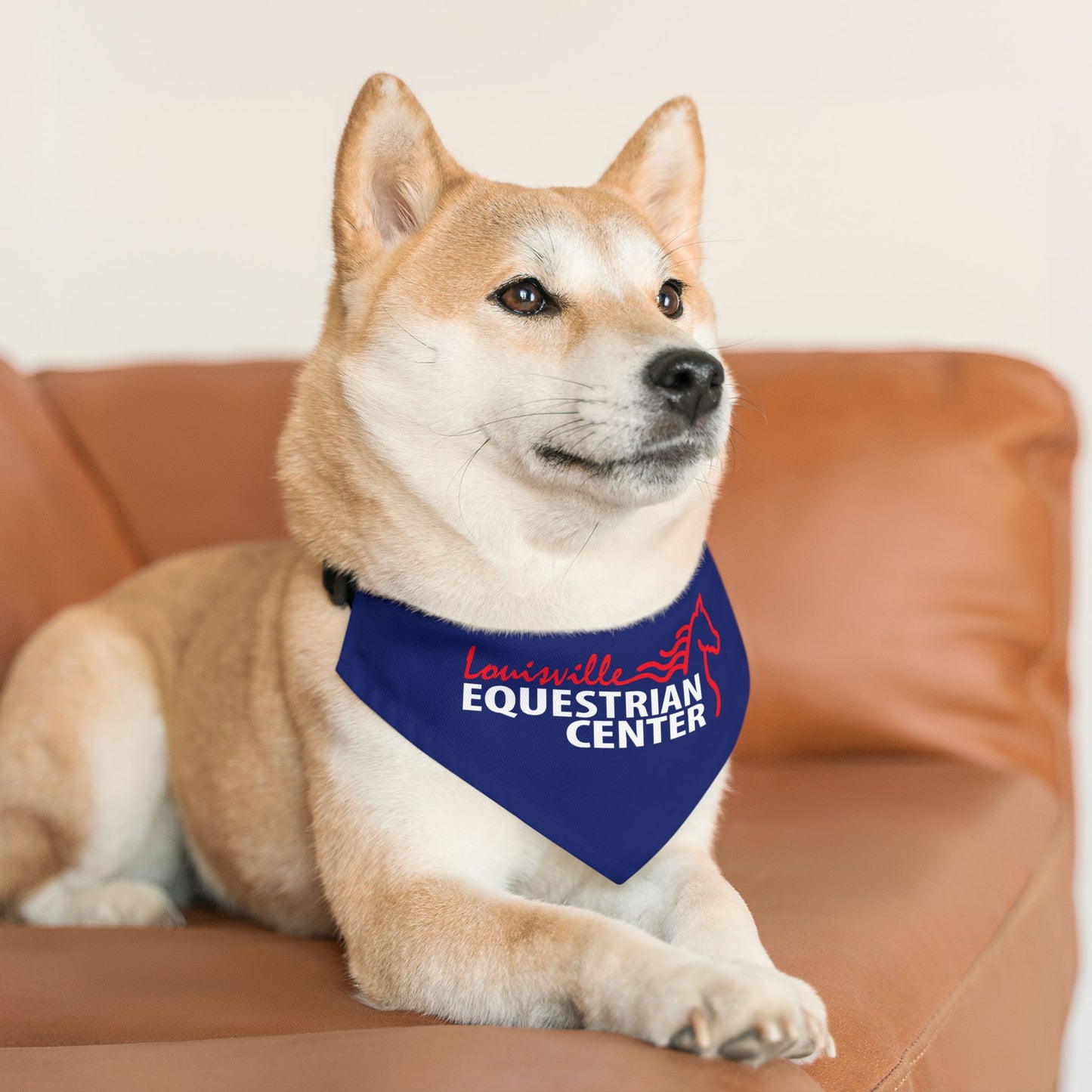 Dog Bandana with Collar