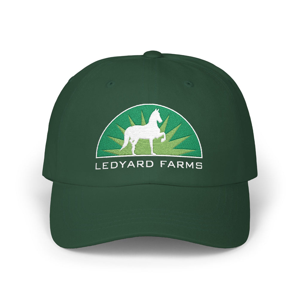 
                  
                    Embroidered Premium Hat
                  
                