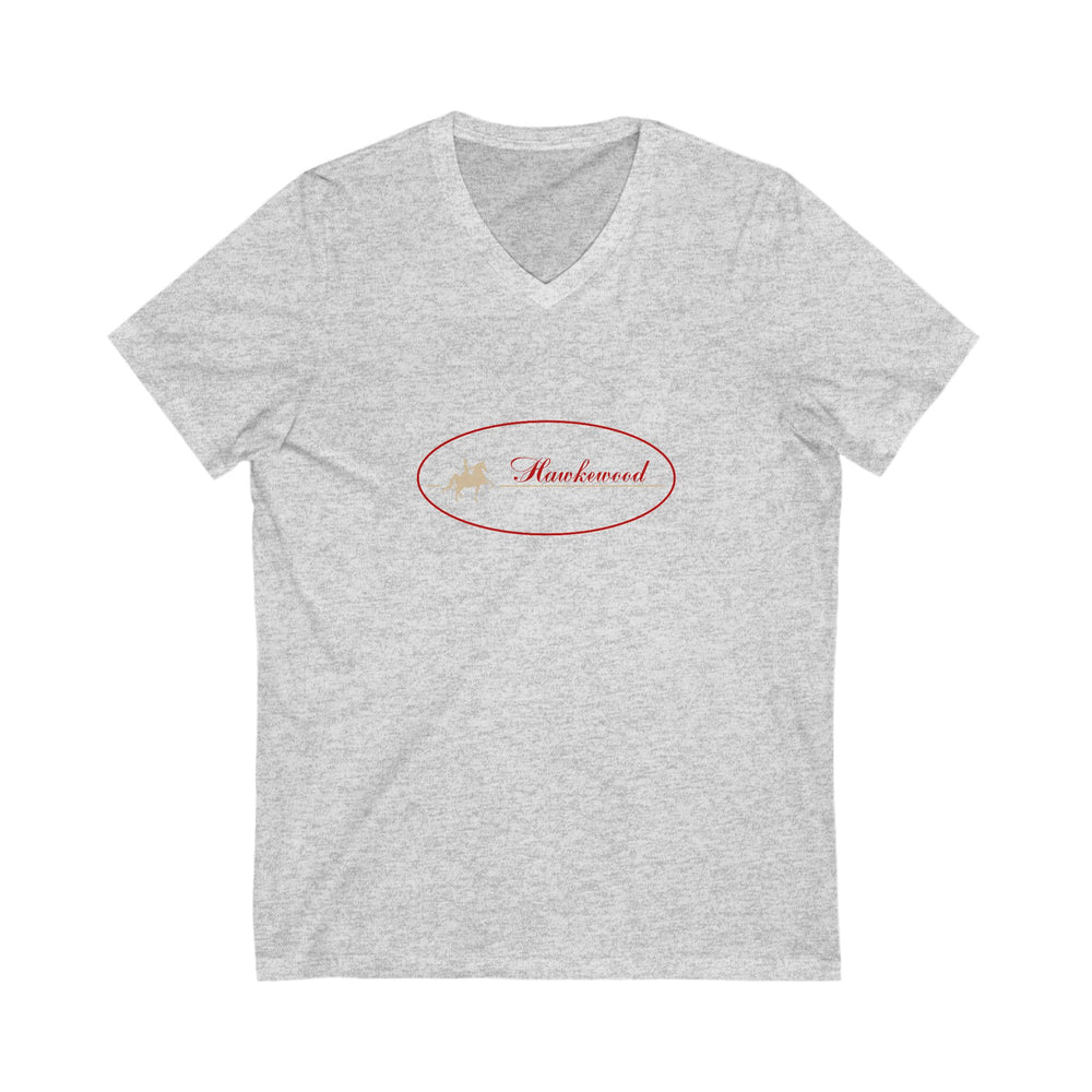 
                  
                    Premium Ladies V-Neck Tee
                  
                