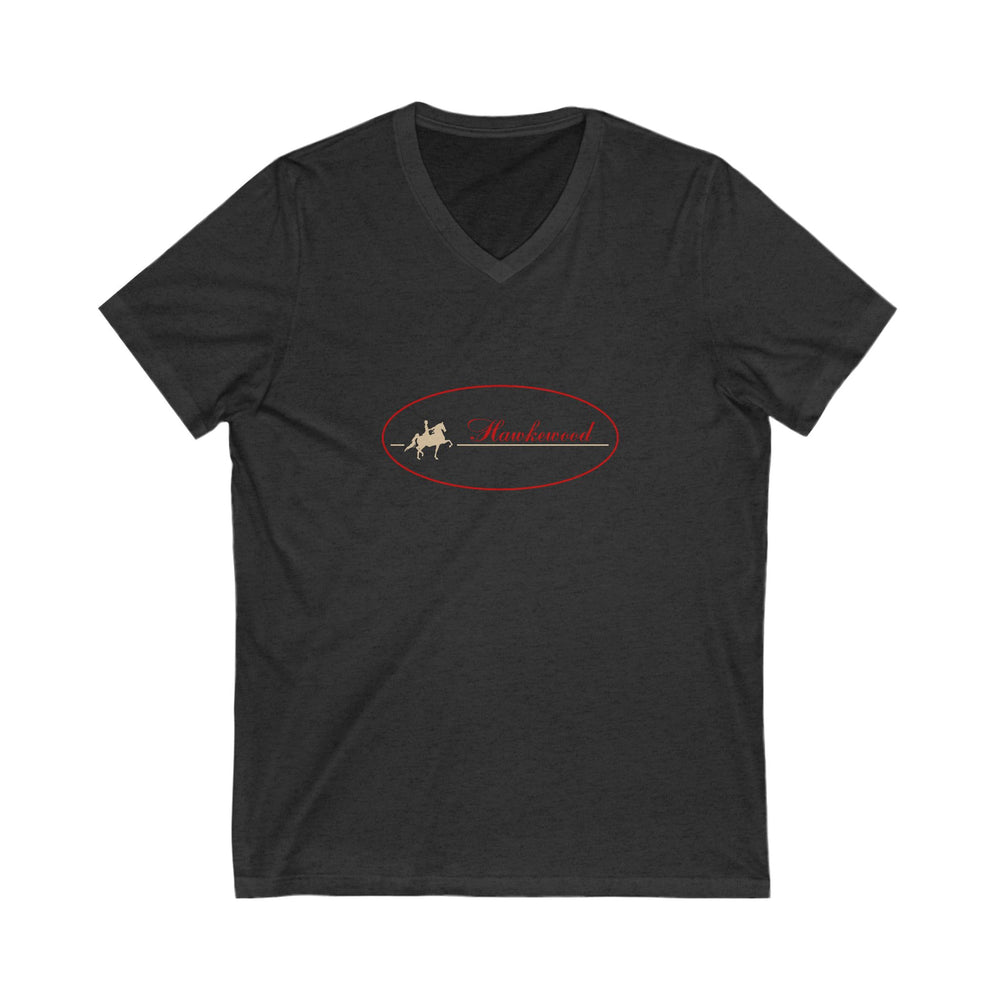 
                  
                    Premium Ladies V-Neck Tee
                  
                