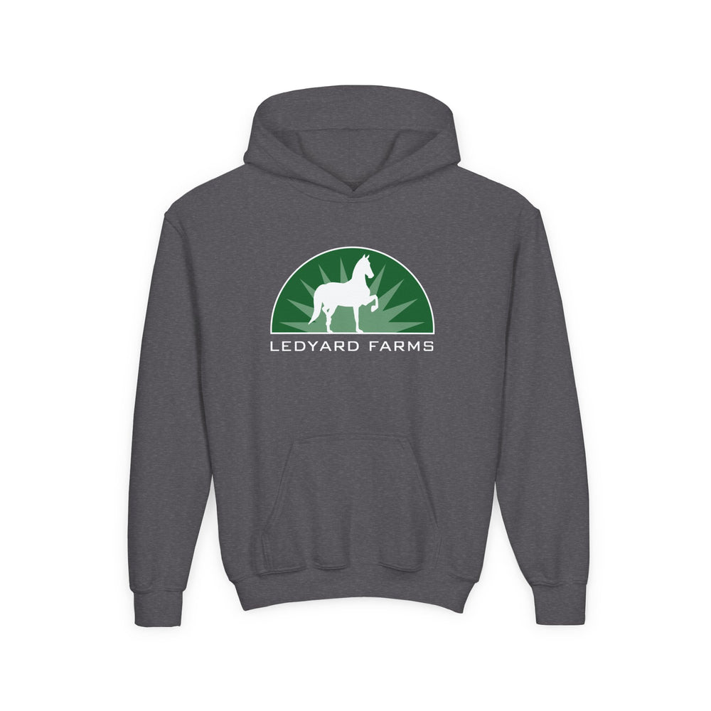 Classic Youth Hoodie