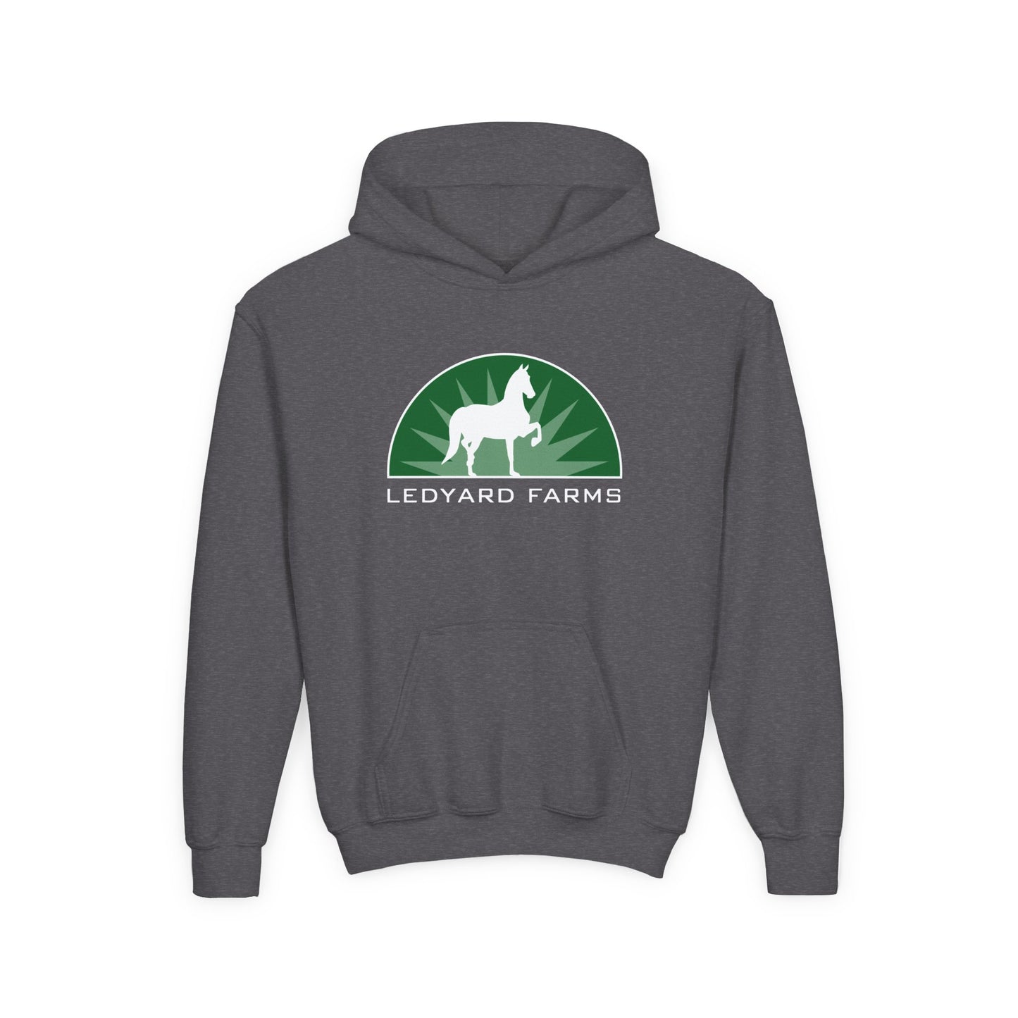Classic Youth Hoodie