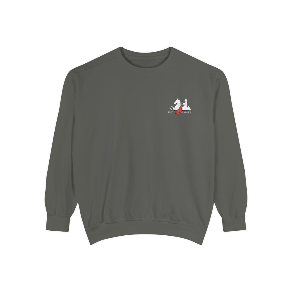 
                  
                    Comfort Colors Embroidered Sweatshirt
                  
                