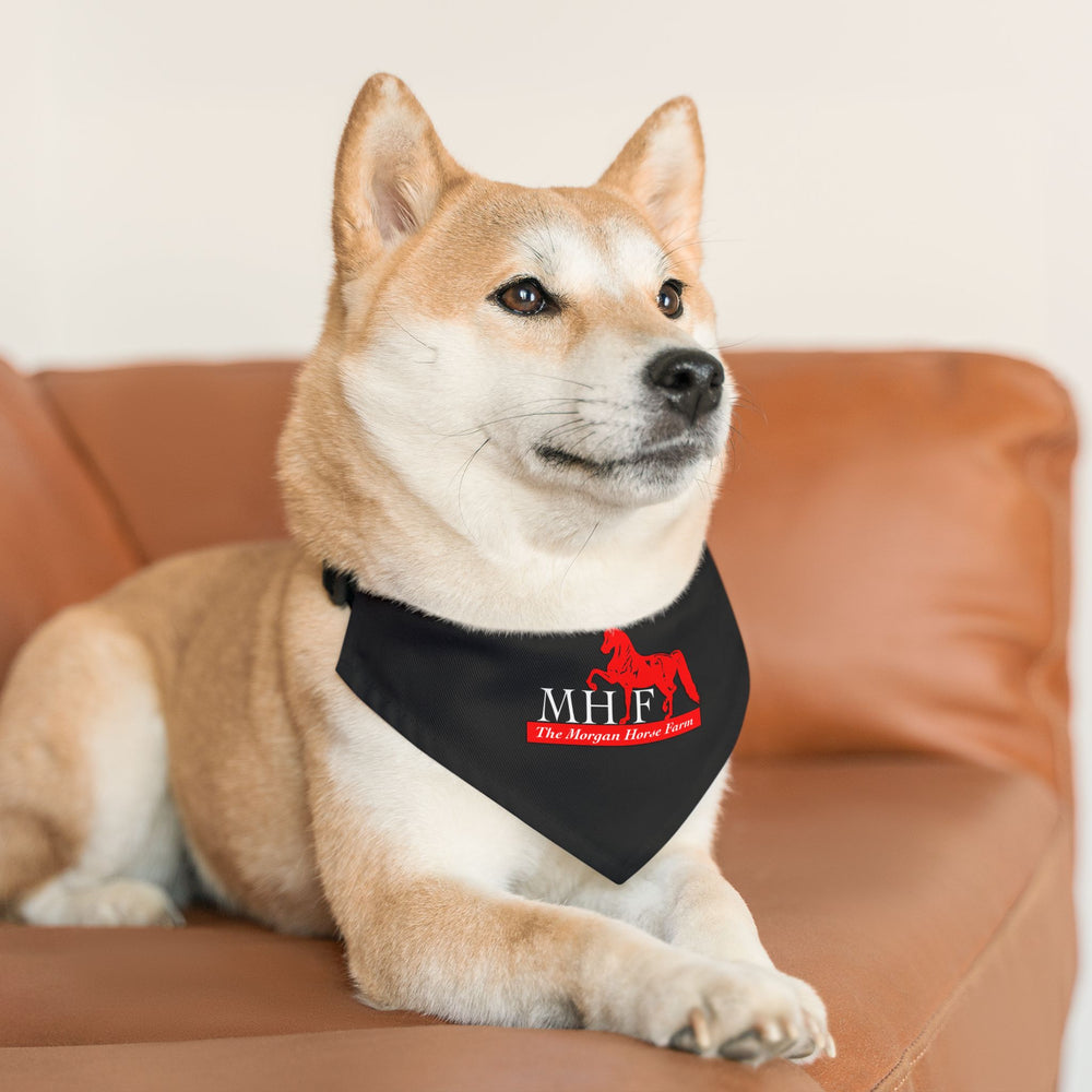 Dog Bandana with Collar