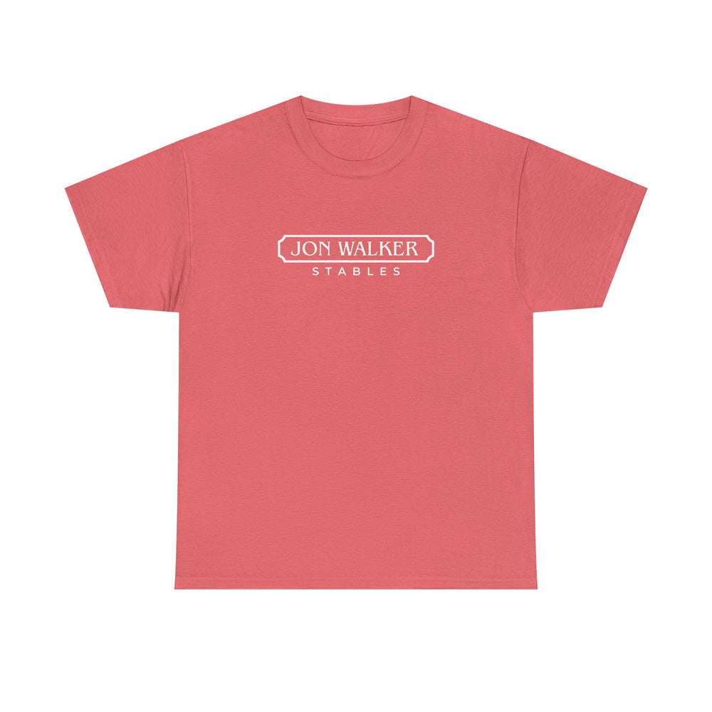 
                  
                    Classic Cotton Tee -- FUN COLORS
                  
                