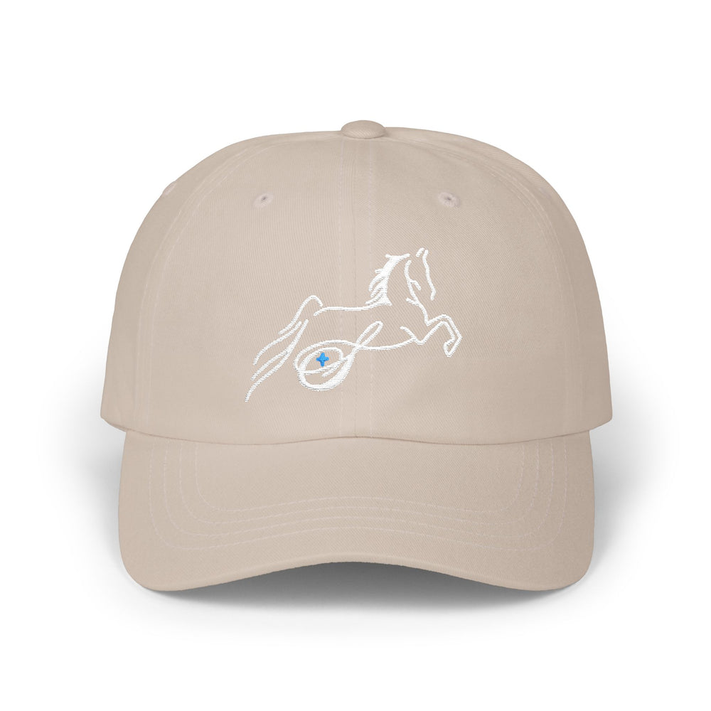 
                  
                    Embroidered Premium Hat
                  
                