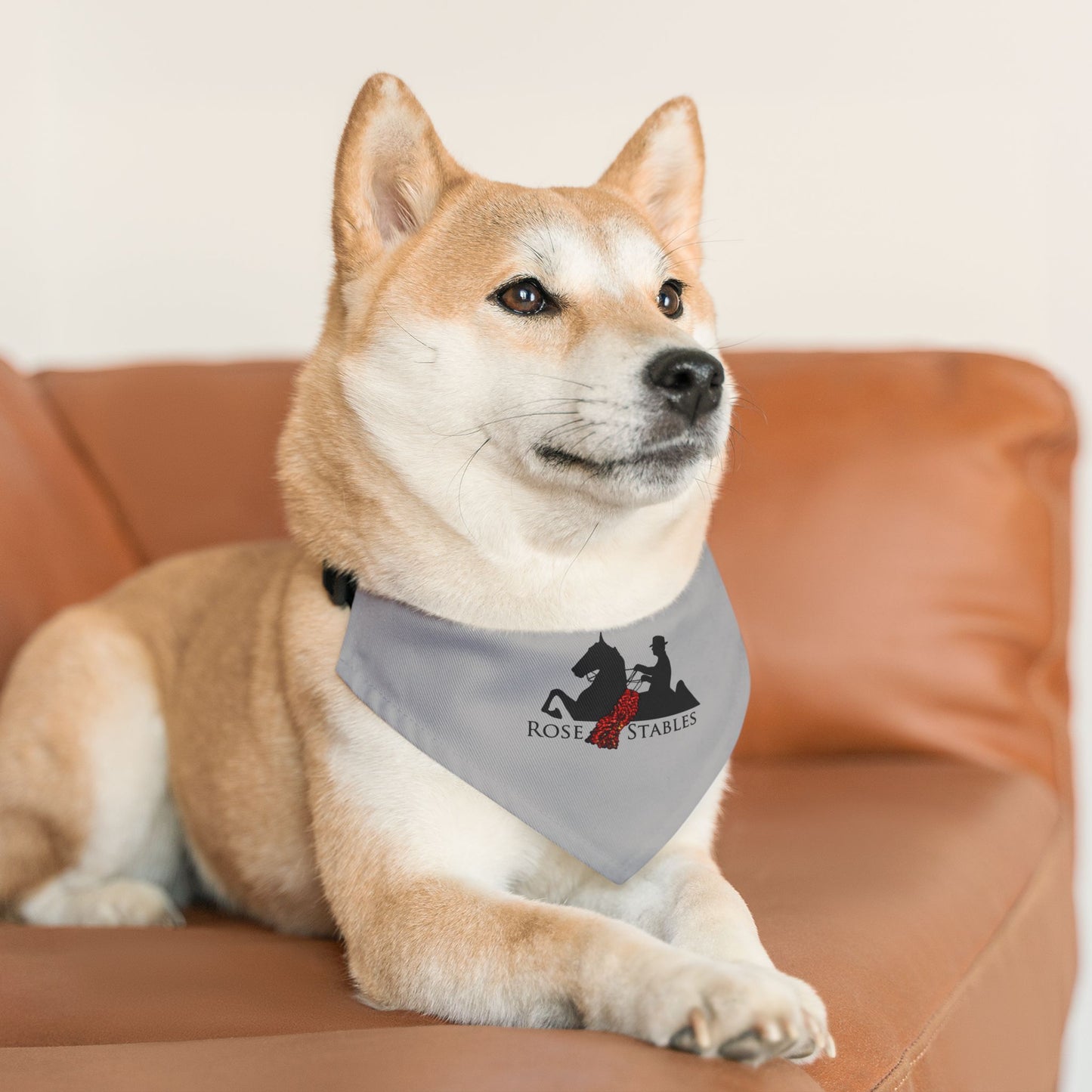 Dog Bandana with Collar