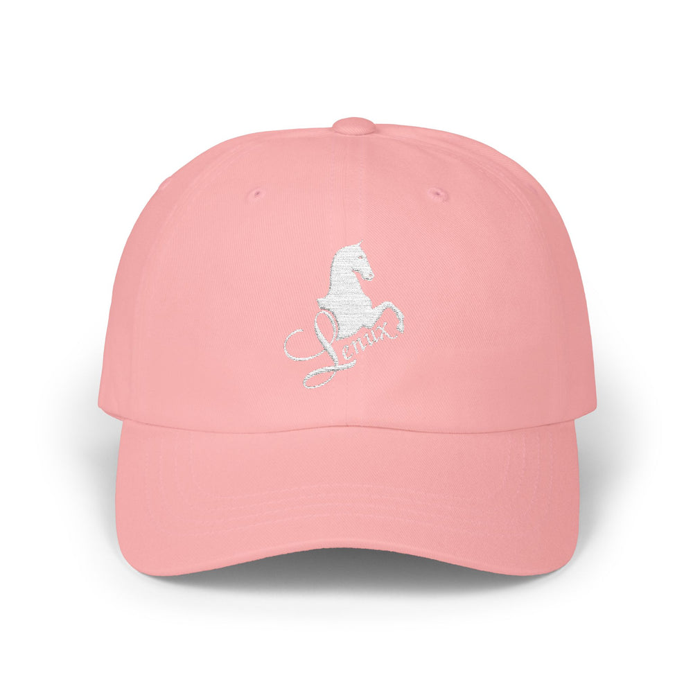 
                  
                    Embroidered Premium Hat
                  
                