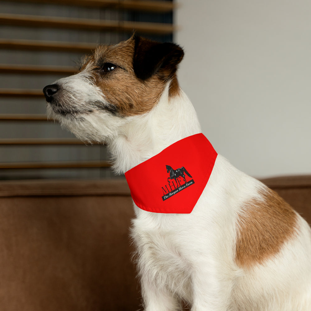 
                  
                    Bandana Collar
                  
                