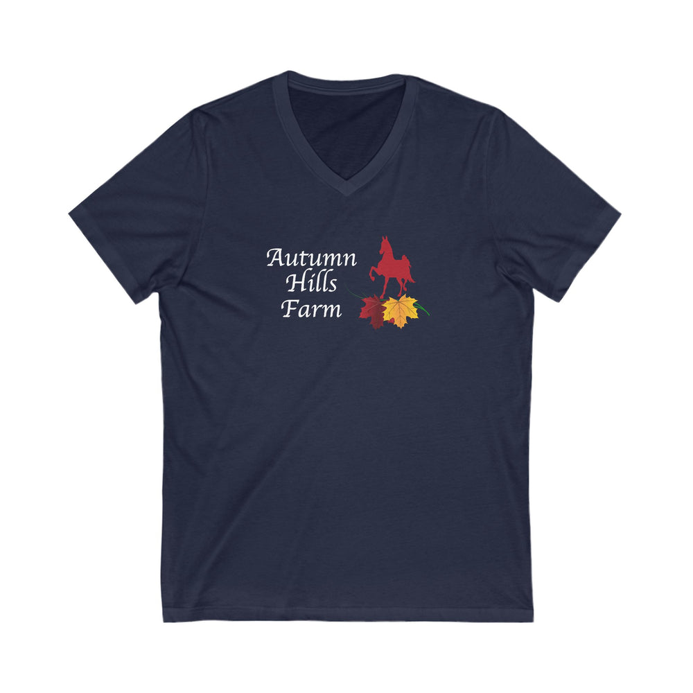 Premium Ladies V-Neck Tee