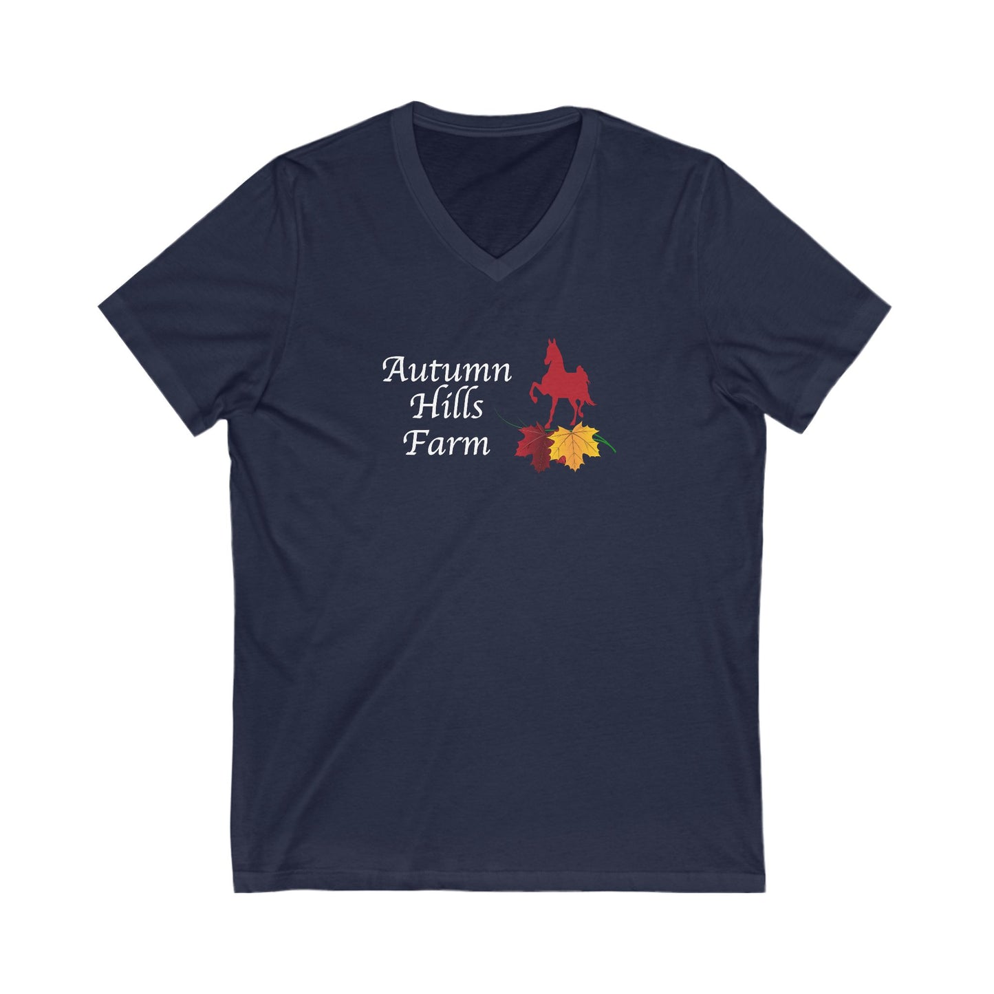Premium Ladies V-Neck Tee