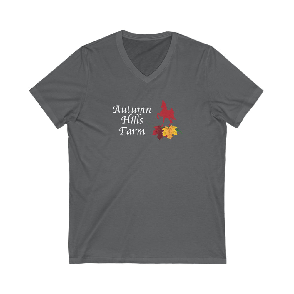 
                  
                    Premium Ladies V-Neck Tee
                  
                