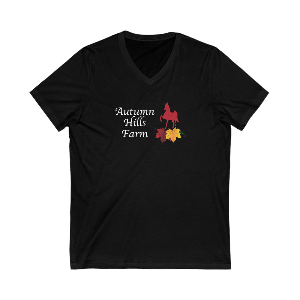 Premium Ladies V-Neck Tee