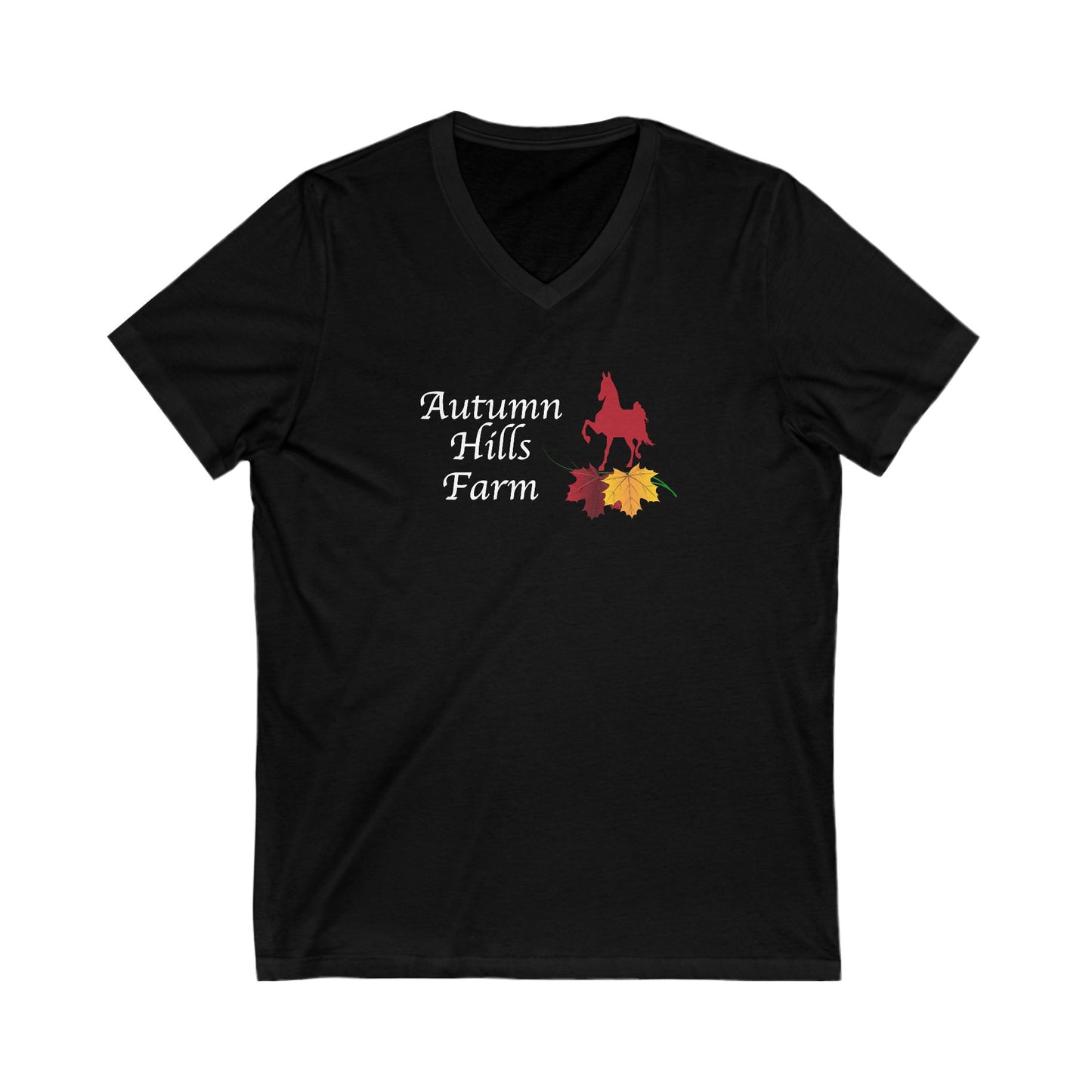 Premium Ladies V-Neck Tee