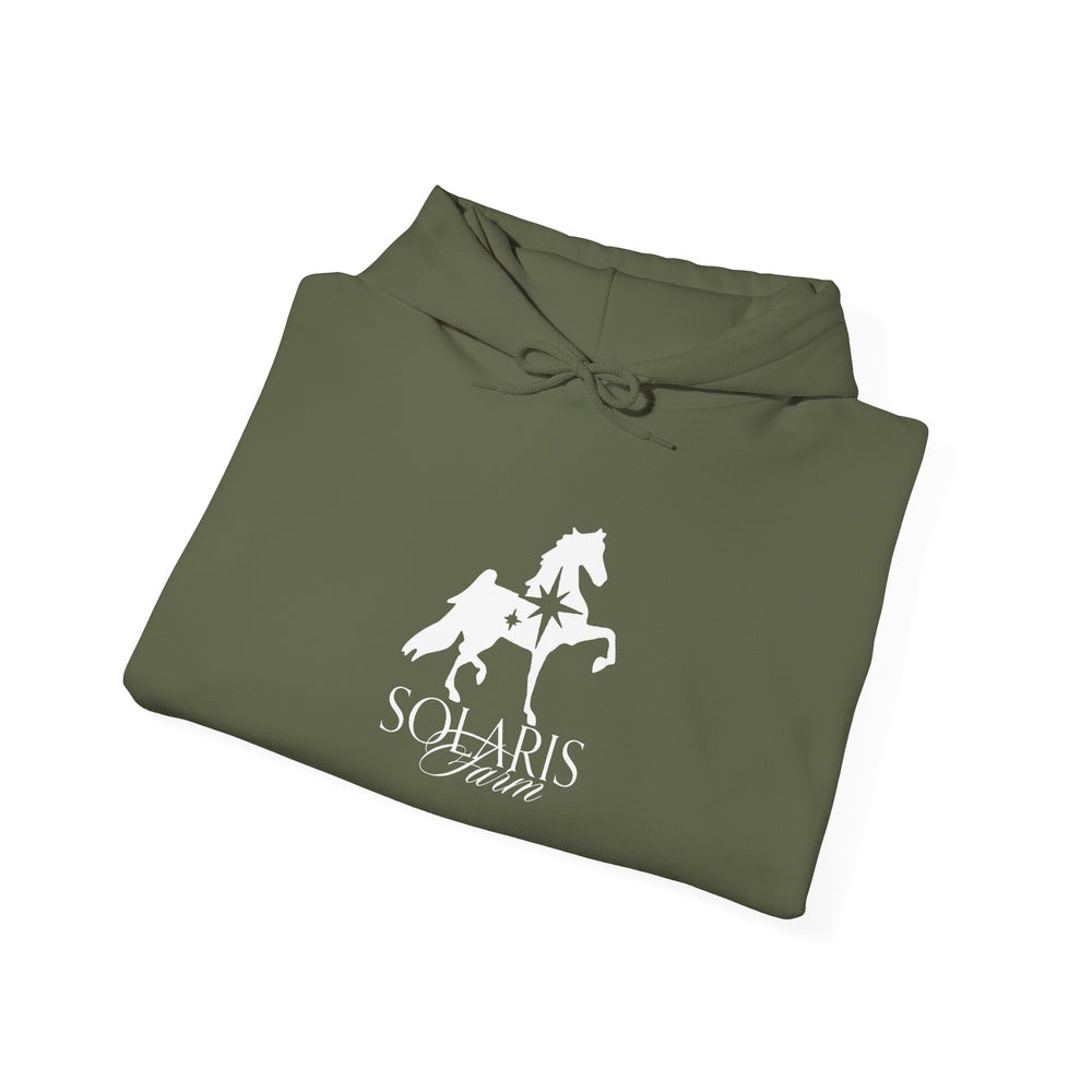 
                  
                    Unisex Heavy Blend™ Hoodie
                  
                