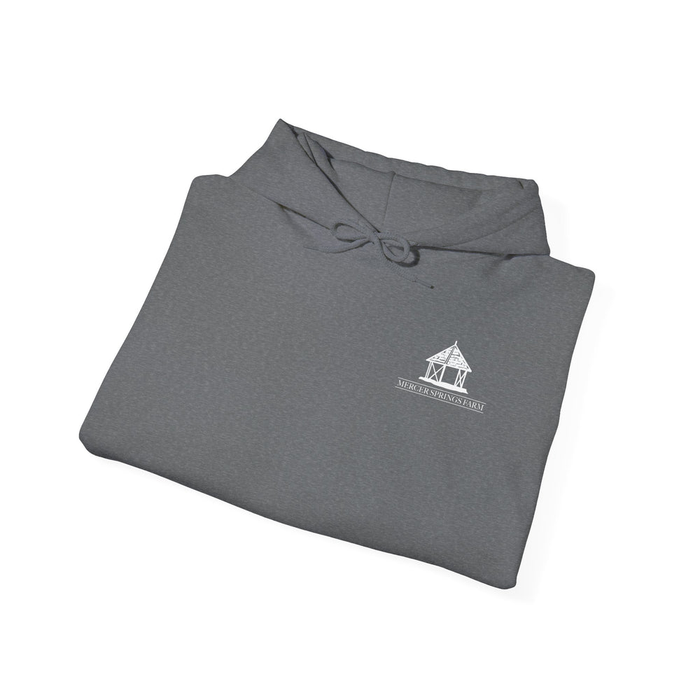 
                  
                    Unisex Heavy Blend™ Hoodie
                  
                