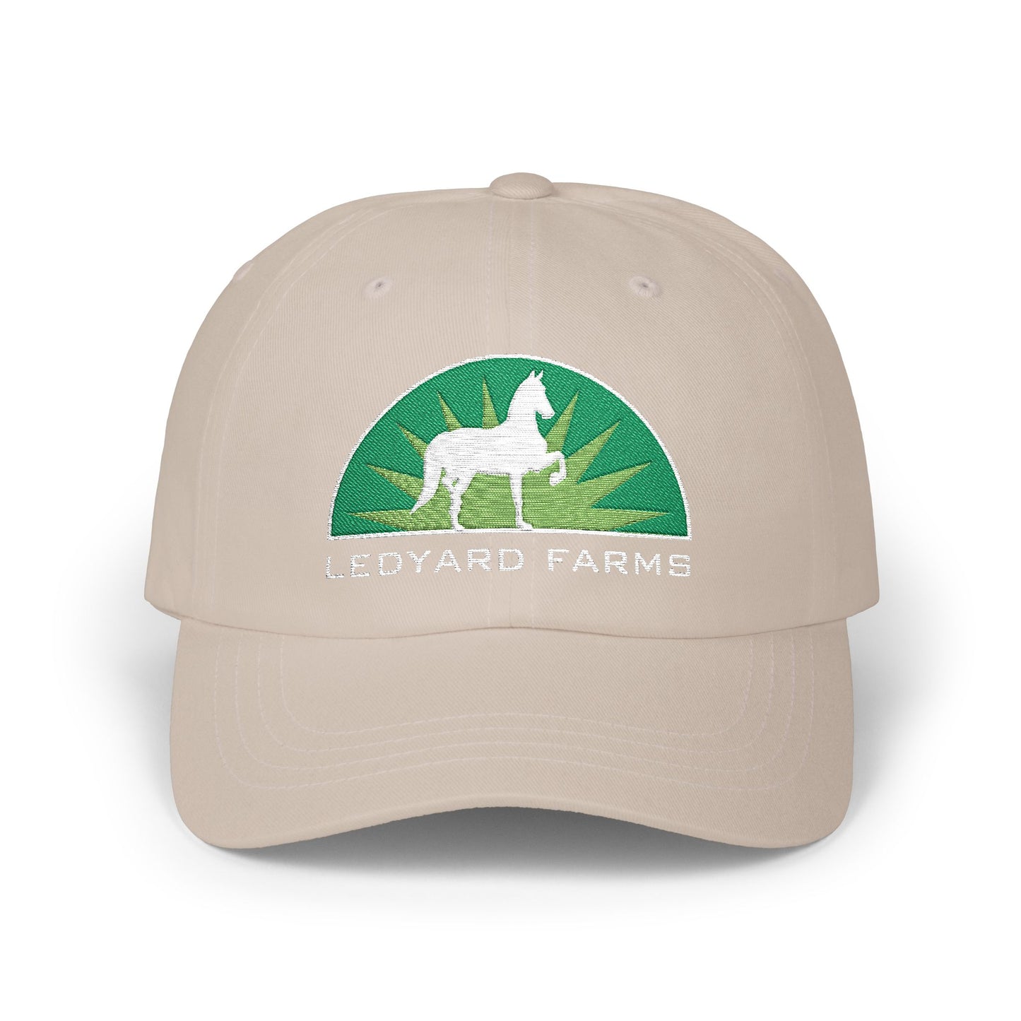 Embroidered Premium Hat