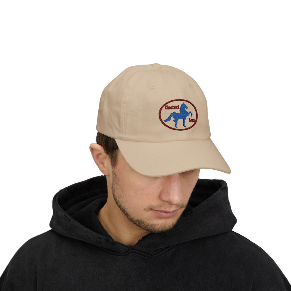 
                  
                    Embroidered Premium Hat
                  
                
