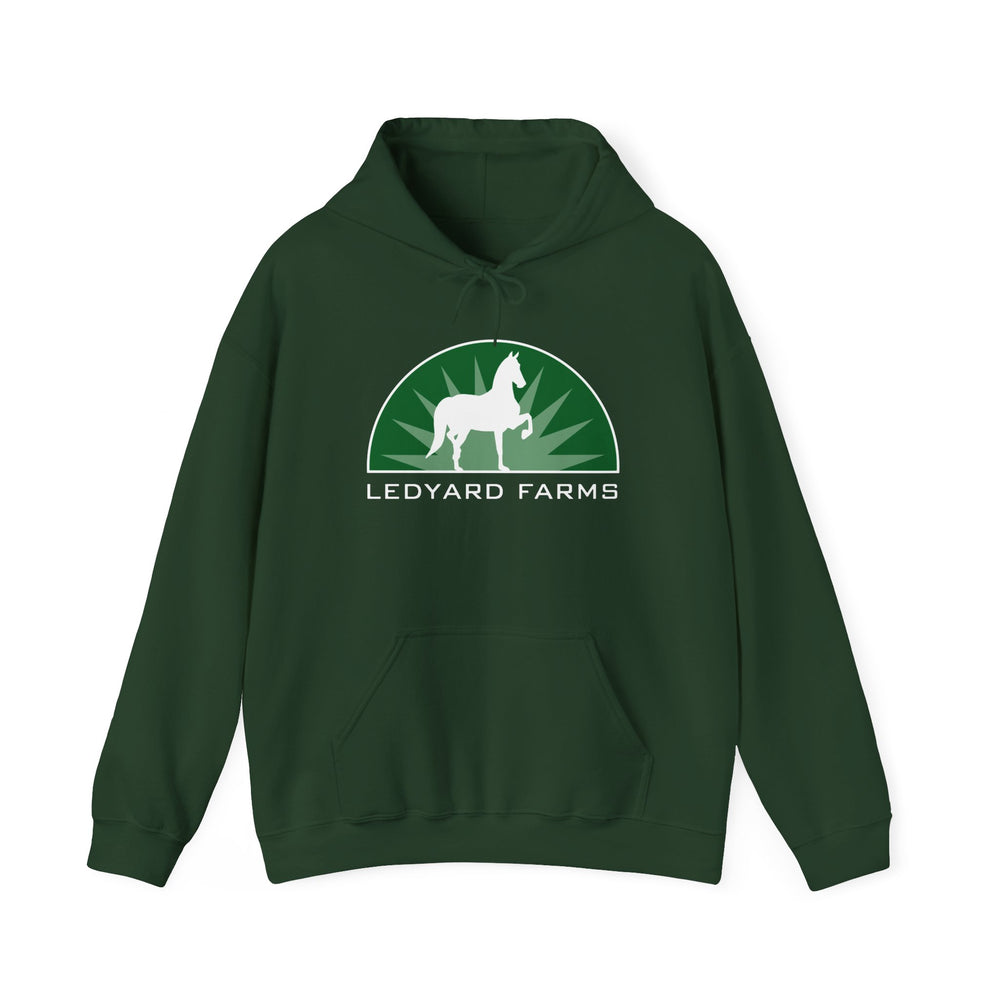 
                  
                    Unisex Heavy Blend™ Hoodie
                  
                