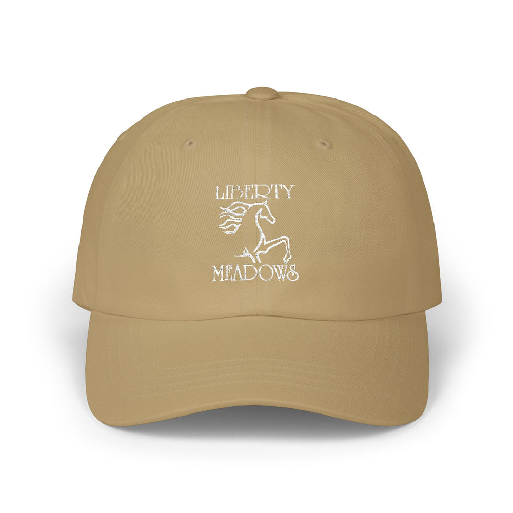 
                  
                    Embroidered Premium Hat
                  
                