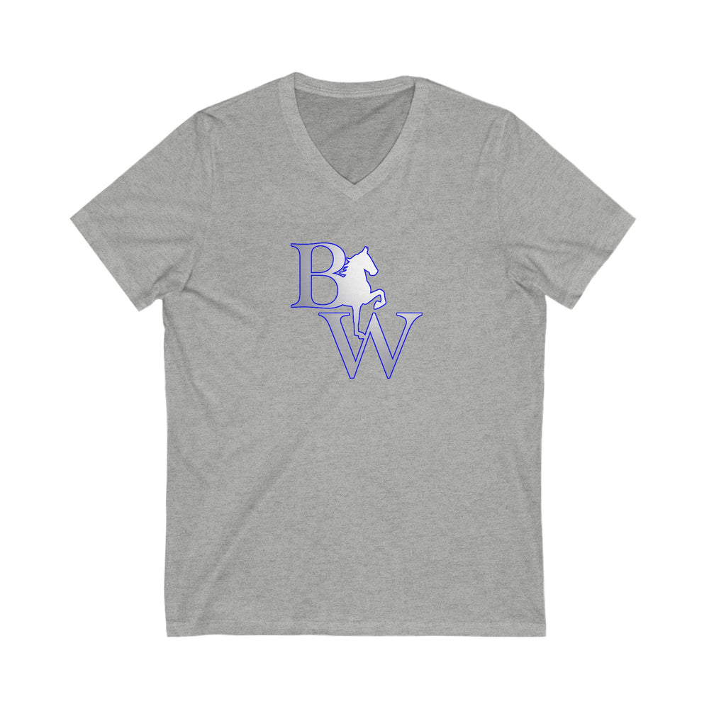 
                  
                    Premium Ladies V-Neck Tee
                  
                