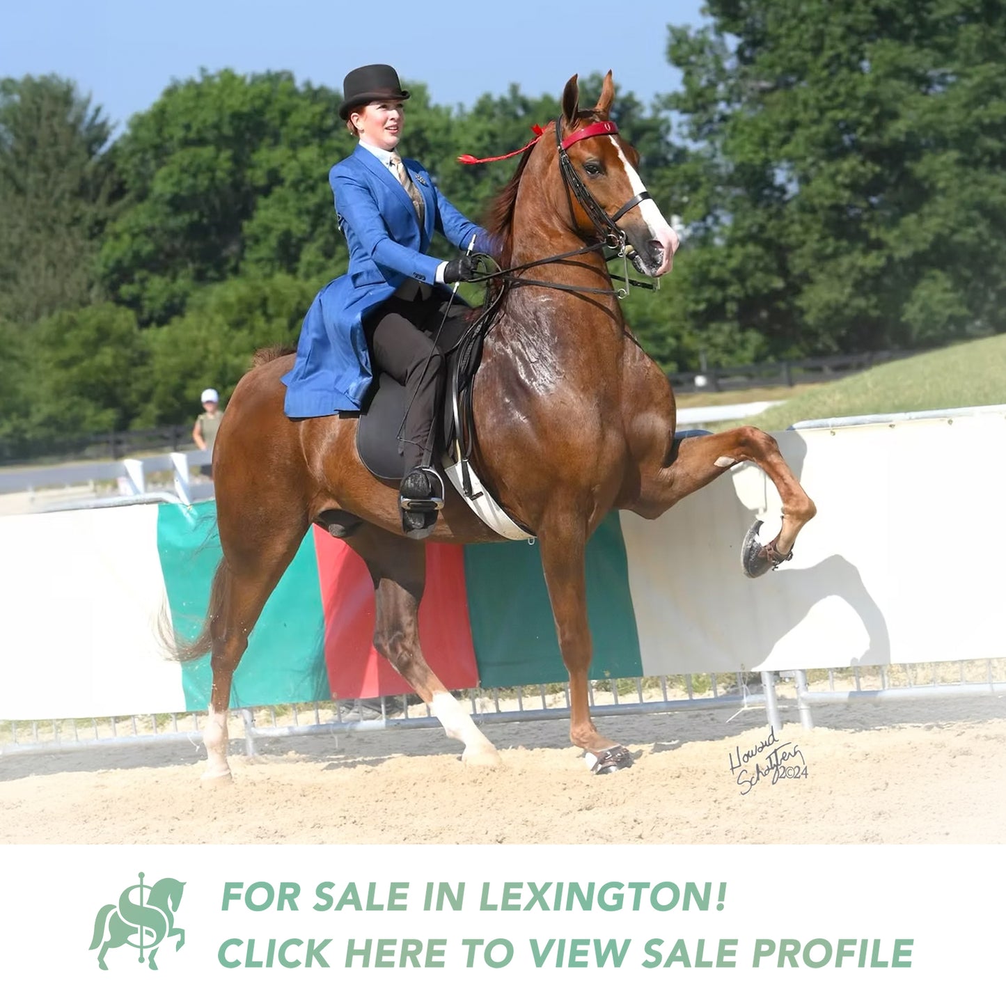 Arnold Facebook Ad Lexington