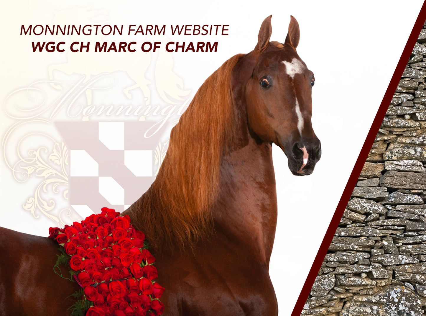 WGC CH Marc of Charm Website Design
