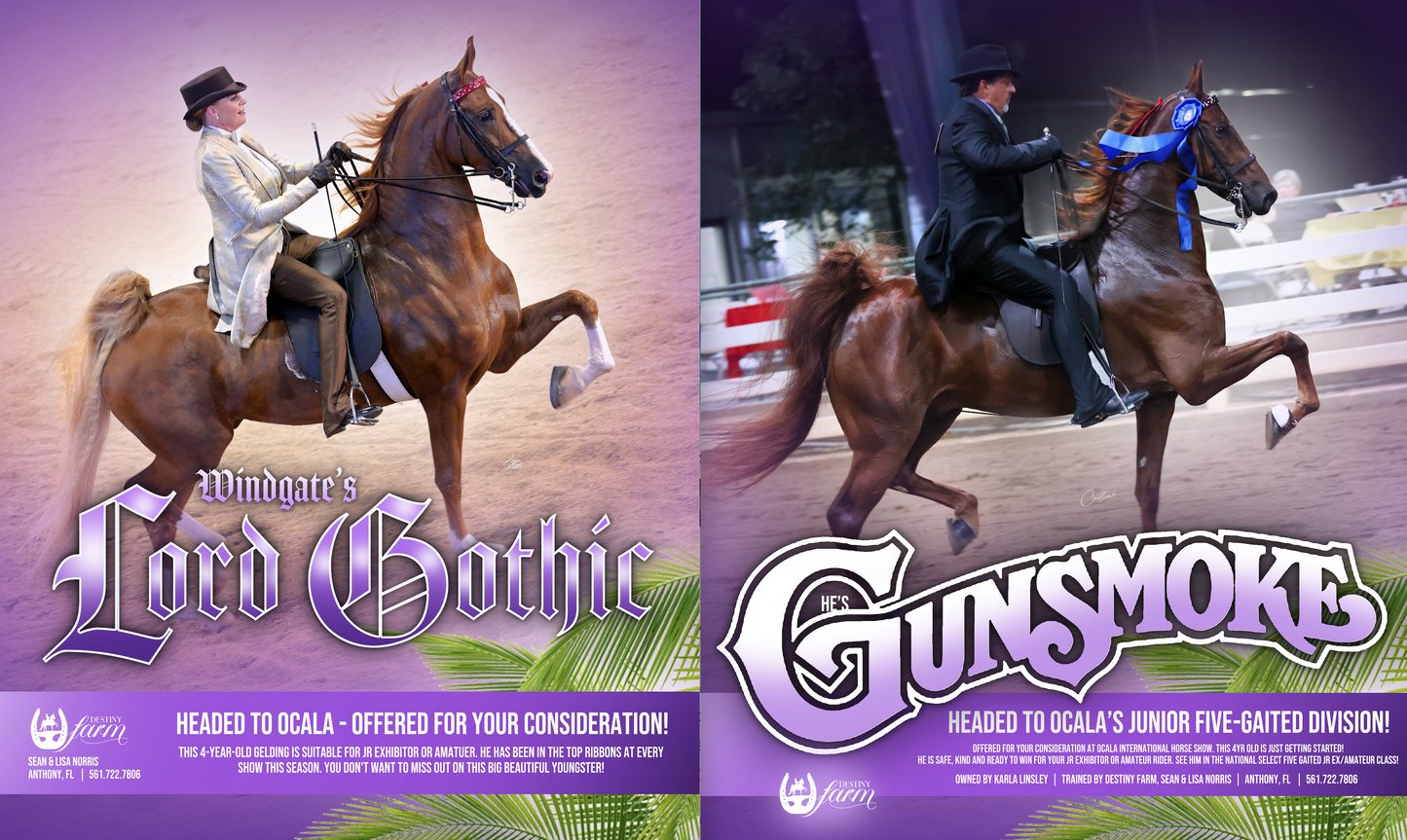 Karla Linsley - Ocala Ads