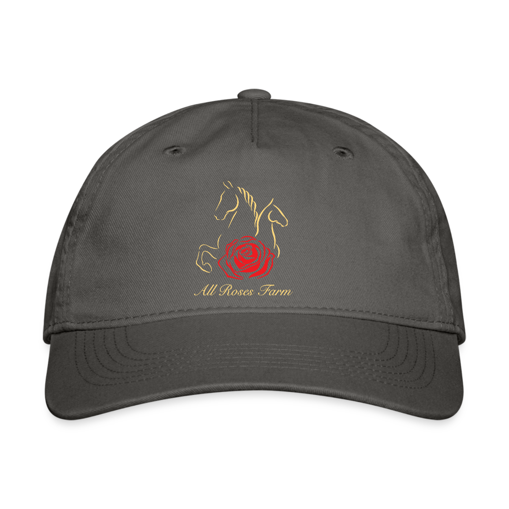 All Roses Training 100% Cotton Baseball Cap - charcoal