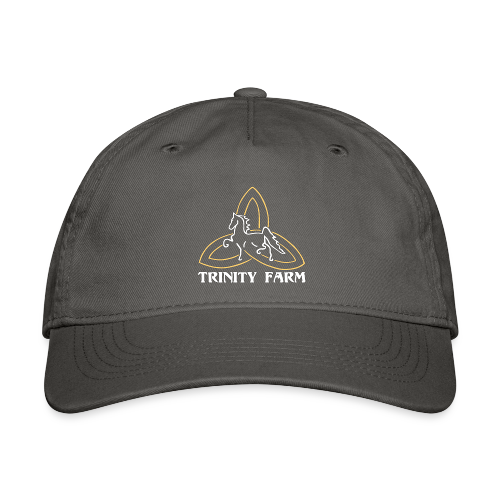 Trinity Farm 100% Cotton Baseball Cap - charcoal