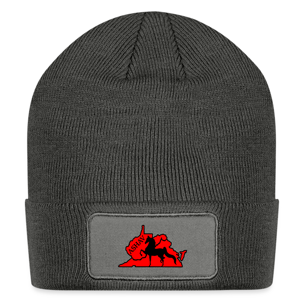 
                  
                    ASHAV Patch Beanie - charcoal grey
                  
                